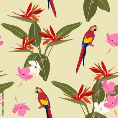 Papier peint  Tropic exotic multicolor birds parrot, macaw with tropical plants, flowers Strelitzia, hibiscus
