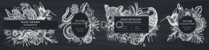 Papier peint  Tropical animals hand drawn frame templates. Vintage illustrations of leopard, snake, lizard, hummingbird, toucan, scarlet macaw, monstera, banana palm leaves, strelitzia, tropical palm leaves, orchid
