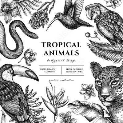 Papier peint  Tropical animals hand drawn illustration design. Background with sketch leopard, snake, hummingbird, toucan, scarlet macaw, monstera, banana palm leaves, strelitzia, protea, phalaenopsis.