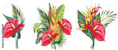 Papier peint  Tropical arrangements with red anthurium, strelitzia, heliconia flowers and palm leaves. Watercolor illustration on white background.