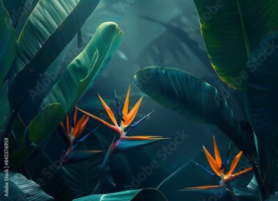 Papier peint  Tropical background with exotic flower bird of paradise Strelitzia reginae among large leaves in a tropical forest on a dark green blue background