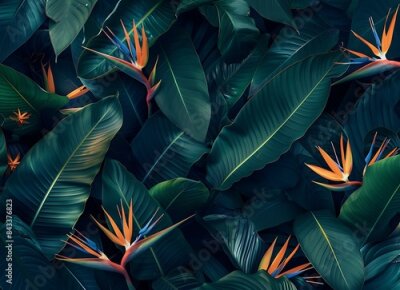 Papier peint  Tropical background with exotic flower bird of paradise Strelitzia reginae among large leaves in a tropical forest on a dark green blue background