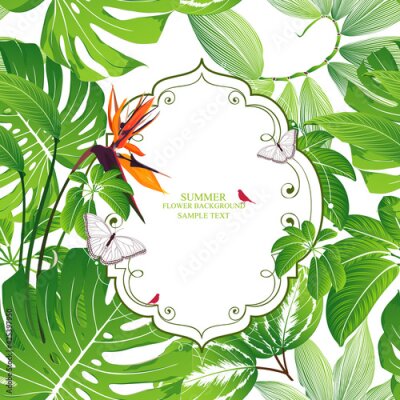 Papier peint  Tropical background with flowers Strelitzia. Green summer frame with exotic leaves of monstera, calathea.