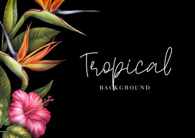 Papier peint  Tropical background with hibiscus and strelitzia