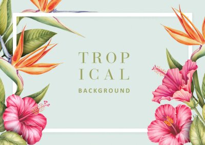 Papier peint  Tropical background with hibiscus and strelitzia