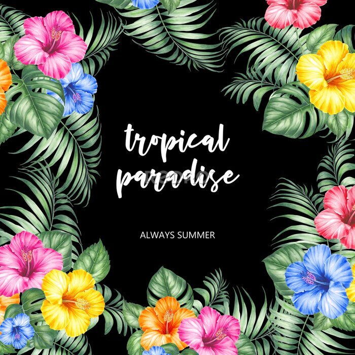 Papier peint  Tropical background with hibiscus and strelitzia