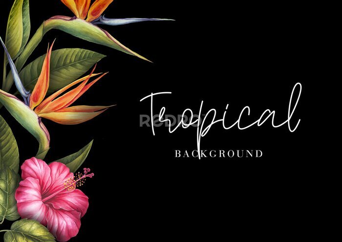 Papier peint  Tropical background with hibiscus and strelitzia
