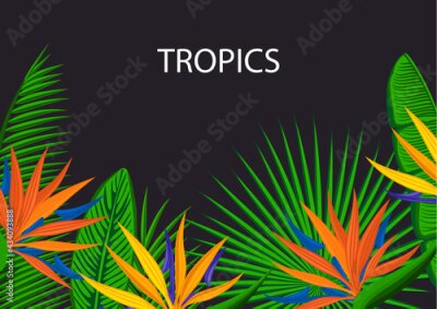 Papier peint  tropical background with palm leaves and strelitzia bird of paradise flowers