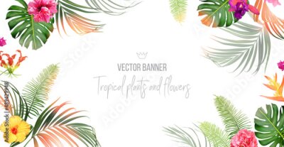 Papier peint  Tropical banner arranged from exotic emerald leaves and exotic flowers