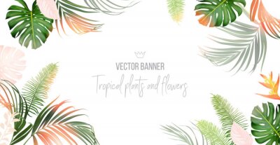 Papier peint  Tropical banner arranged from exotic pink leaves.