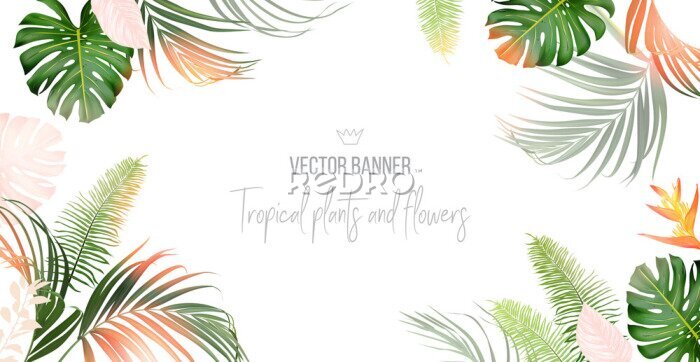 Papier peint  Tropical banner arranged from exotic pink leaves.