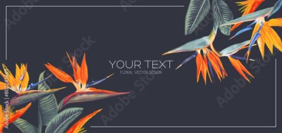 Papier peint  Tropical banner with flowers and leaves of Strelitzia Reginae. Bright flowers on a dark background, place for text. Banner for social networks, outdoor advertising. Very realistic flowers, vector