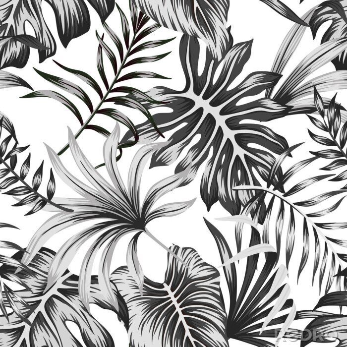 Papier peint  Tropical black and white palm leaves seamless pattern white background. Exotic jungle wallpaper.