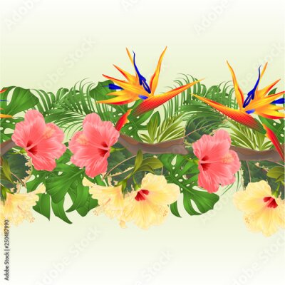 Papier peint  Tropical border seamless background Bouquet with tropical flowers pink and yellow hibiscus and Strelitzia palm,philodendron and ficus vintage vector illustration  for dishes,  packaging, greeting card