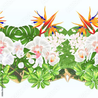 Papier peint  Tropical border seamless background   tropical flowers  floral arrangement with  Strelitzia and white  orchid Phalaenopsis philodendron and Schefflera and Monstera  vintage vector illustration