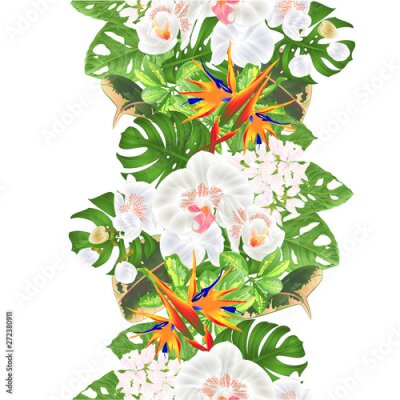 Papier peint  Tropical border seamless background   tropical flowers  floral arrangement with  Strelitzia and white  orchid Phalaenopsis philodendron and Schefflera and Monstera  vintage vector illustration