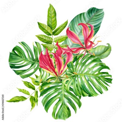 Papier peint  Tropical bouquet, flowers, fire lily, monstera, palm leaves, Strelitzia leaf on an isolated white background, watercolor hand drawing