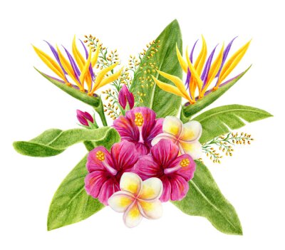 Papier peint  Tropical bouquet. Hand drawn watercolor painting with hibiscus flowers, strelitzia, frangipani and palm leaves isolated on white background. Floral summer composition.