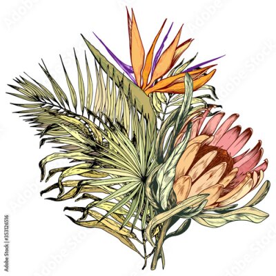 Papier peint  Tropical bouquet with exotic king protea, Paradise Bird flowers and palm leaves.