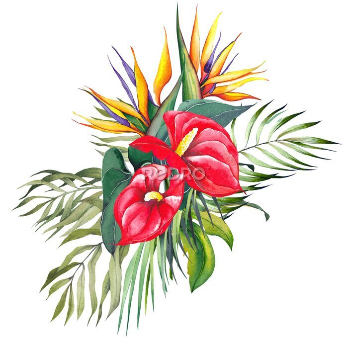Papier peint  Tropical bouquet with red lily, strelitzia flowers and palm leaves. Watercolor illustration on white background.