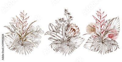 Papier peint  Tropical bouquets with exotic protea and heliconia flowers.