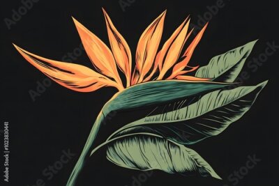 Papier peint  Tropical bright flowers, paradise flower, strelitzia on an isolated white background, watercolor illustration, botanical painting, jungle design