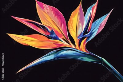 Papier peint  Tropical bright flowers, paradise flower, strelitzia on an isolated white background, watercolor illustration, botanical painting, jungle design