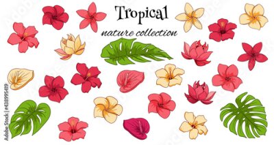 Papier peint  Tropical collection with exotic flowers and carved leaves in cartoon style