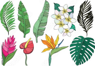 Papier peint  Tropical collection with exotic flowers and leaves
