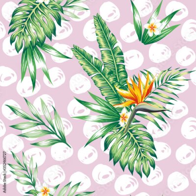 Papier peint  Tropical composition on branch exotic floral banana palm beach tree. Seamless vector wallpaper pattern flower Plumeria Strelitzia. Decorative abstract design on a pink background.