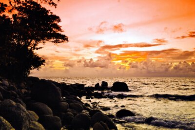 Tropical coucher de soleil coloré .