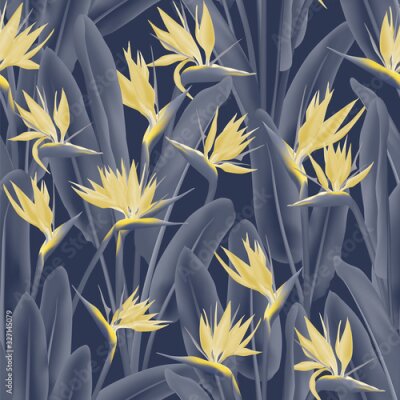 Papier peint  Tropical crane flower vector seamless pattern. Bohemian tropical plant fabric print design. South African plant tropical blossom of crane flower, strelitzia. Floral textile print.