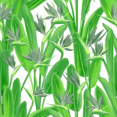 Papier peint  Tropical crane flower vector seamless pattern. Bohemian tropical plant fabric print design. South African plant tropical blossom of crane flower, strelitzia. Floral wallpaper.