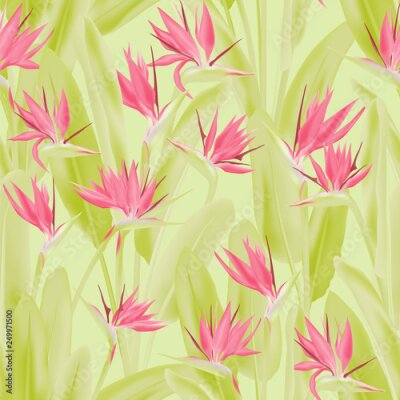 Papier peint  Tropical crane flower vector seamless pattern. Jungle exotic tropical plant fabric design. South African plant tropical blossom of crane flower, strelitzia. Floral textile print.
