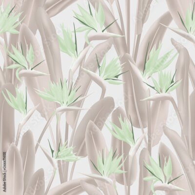 Papier peint  Tropical crane flower vector seamless pattern. Jungle exotic tropical plant fabric design. South African plant tropical blossom of crane flower, strelitzia. Floral textile print.