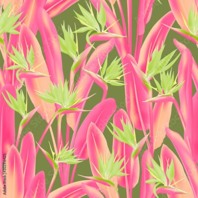 Papier peint  Tropical crane flower vector seamless pattern. Jungle plant paradise tropical summer fabric design. South African plant tropical blossom of crane flower, strelitzia. Floral textile print.