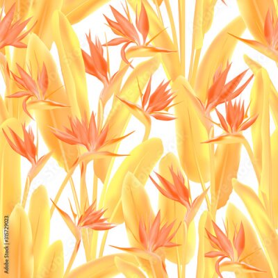 Papier peint  Tropical crane flower vector seamless pattern. Jungle plant paradise tropical summer fabric design. South African plant tropical blossom of crane flower, strelitzia. Floral textile print.