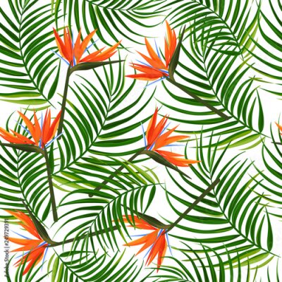 Papier peint  Tropical dark green leaves of palm trees and flowers bird of paradise strelitzia . Summer exotic seamless pattern.