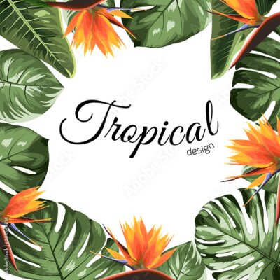 Papier peint  Tropical design border frame template with green jungle tree monstera leaves and strelitzia bird paradise flowers . Text placeholder. Vector design illustration.