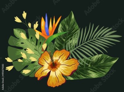 Papier peint  Tropical design element with flowers and strelitzia, leaves palm and monstera. Vector on a black background