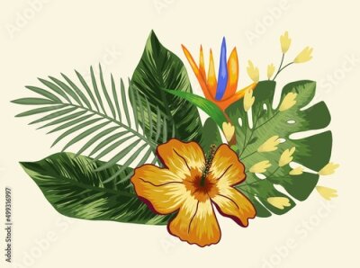 Papier peint  Tropical design element with flowers and strelitzia, leaves palm and monstera. Vector on a light background
