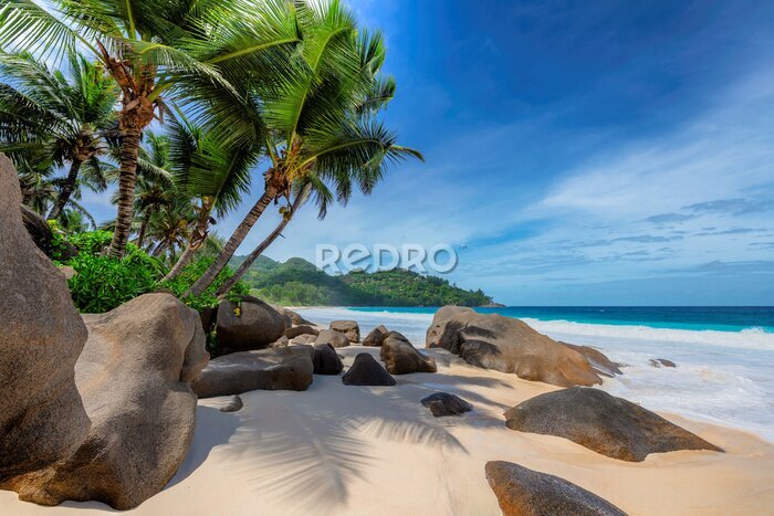 Papier peint  Tropical exotic beach and coconut palms 