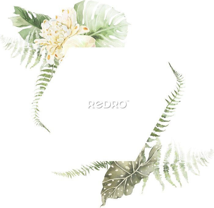 Papier peint  Tropical Exotic Floral Frame Border Green Leaf Pastel Watercolor Ethereal Jungle Transparent Background