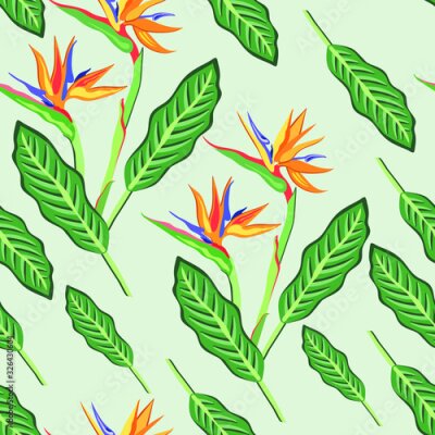 Papier peint  Tropical exotic flowers seamless pattern. Strelitzia. Floral print vector illustration for printing on textiles, paper, packaging, wallpaper.