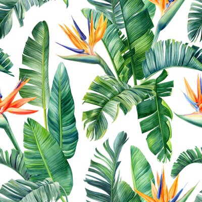 Papier peint  Tropical exotic green leaves palm, strelitzia flowers, floral background. Seamless pattern, watercolor bird of paradise