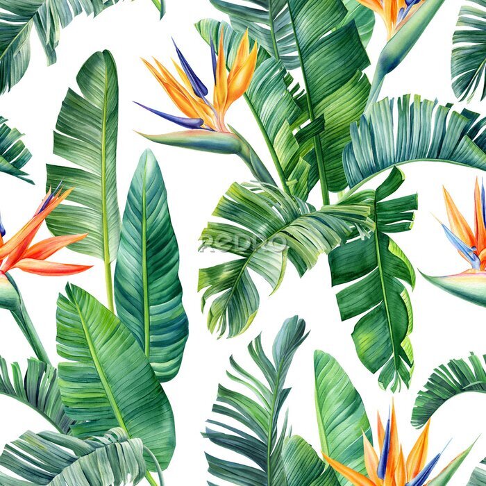 Papier peint  Tropical exotic green leaves palm, strelitzia flowers, floral background. Seamless pattern, watercolor bird of paradise