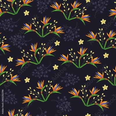 Papier peint  Tropical floral colorful seamless pattern with beautiful strelitzia flowers vector on a black background