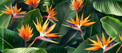 Papier peint  Tropical flower background. 