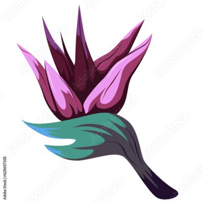 Papier peint  Tropical flower icon of Strelitzia reginae on white background. Vector floral background. Paradise nature. Single bird of paradise, For decoration design. isolated element.