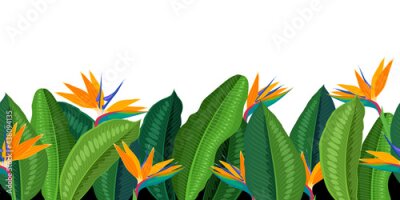 Papier peint  Tropical flower strelitzia, bottom seamless horizontal border. Vector illustration cartoon flat template for packaging design isolated on white background.